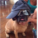 Profile Picture of Jake Schott (@jakethepuggle_) on Instagram