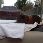 Profile Picture of Richard Feiock (@RichardandDoris.feiock) on Facebook