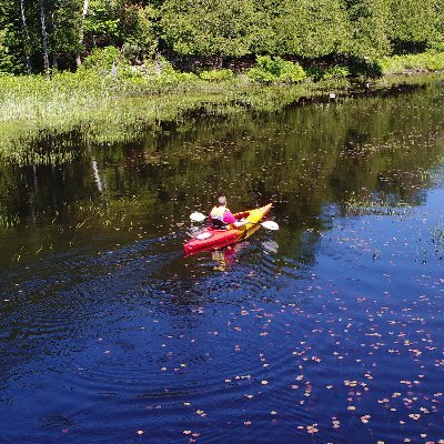 Profile Picture of Jason J. Bailey  🇨🇦 (@TheJasonJBailey) on Twitter