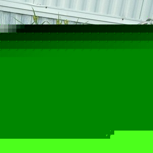 Hollie Gerhart - Myspace Profile Picture of Hollie Gerhart (@sooner2001girl) on Myspace