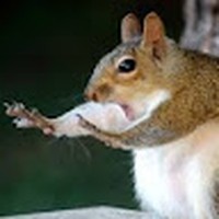 Profile Picture of Matthew Piccione (@matthew-piccione-2) on Quora