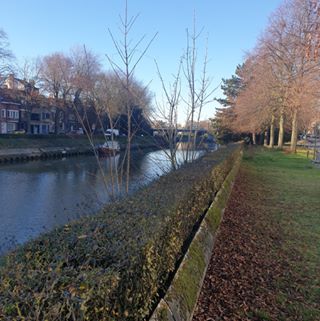 Profile Picture of Ahmed Almansoori (@ahmed.almansoori.75248) on Facebook