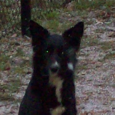 Profile Picture of Peter-herbert Riedel (@globi1000) on Twitter