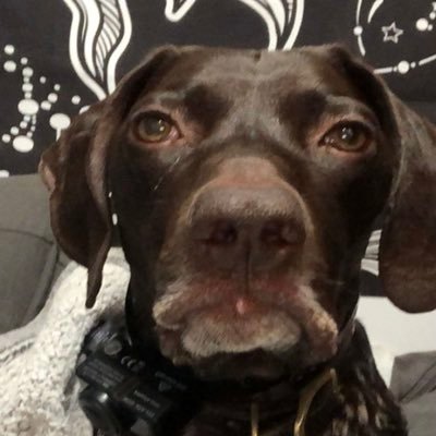 Profile Picture of Kasey (@kasey_reid_) on Twitter