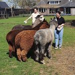 Profile Picture of Jacqueline Goris (@jacqueline_goris) on Instagram