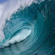 Profile Picture of Chris Toney (@ChrisTo90290297) on Twitter