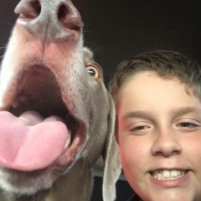 Profile Picture of Brendan Sword (@SwordBrendan) on Twitter