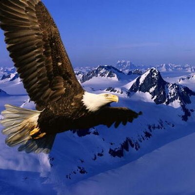 Profile Picture of Giannis Papadakis (@pap_john1) on Twitter