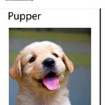 Julia Mcgovern - Instagram Profile Picture of Julia Mcgovern (@juila.mcg123) on Instagram