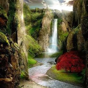 Profile Picture of Mauricio Coreas (@MauricioCorea12) on Twitter