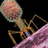 Profile Picture of Nicholas Arvanitis (@nicholas-arvanitis-5) on Quora