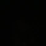 Profile Picture of 𝔻𝕒𝕟𝕚𝕖𝕝 𝕆𝕣𝕒𝕞𝕒. (@tu_cubanito_official) on Instagram