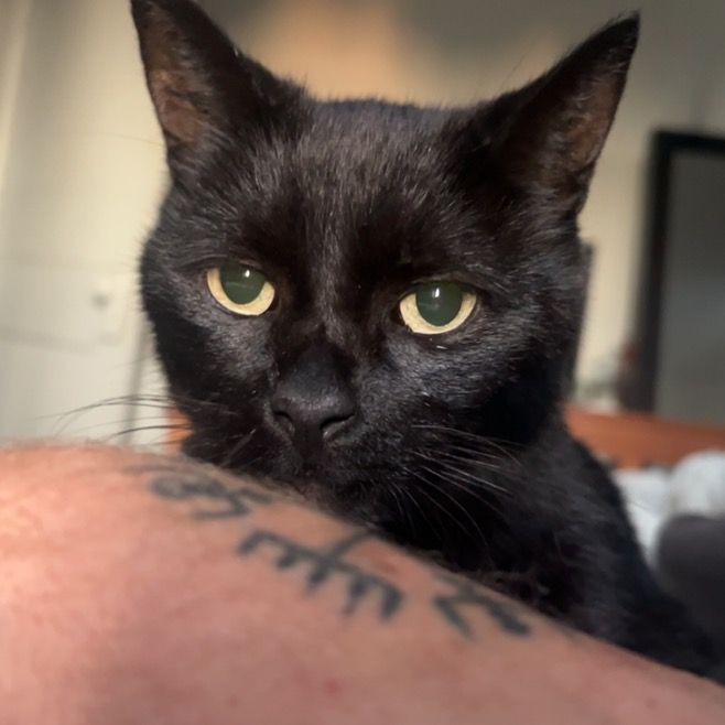 Richard rea - Tiktok Profile Picture of Richard rea (@richierea) on Tiktok