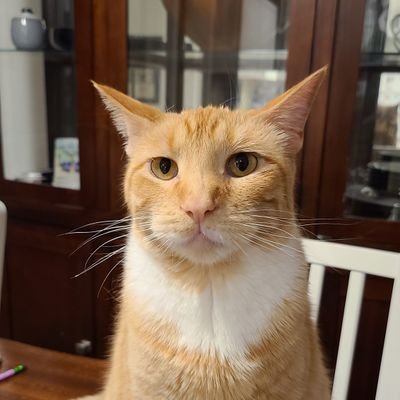 Profile Picture of Stephen C Kovac (@StephenCKovac1) on Twitter