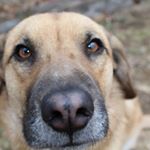 Profile Picture of nathan (@nathan.frantz.76) on Instagram