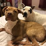 Profile Picture of Michelle Crutcher (@michelle.crutcher.52) on Facebook