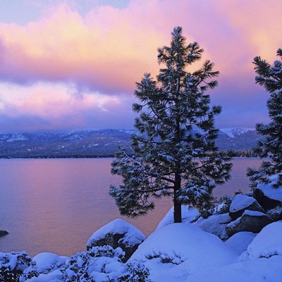 Profile Picture of Jerry Liu (@yanming0329) on Twitter