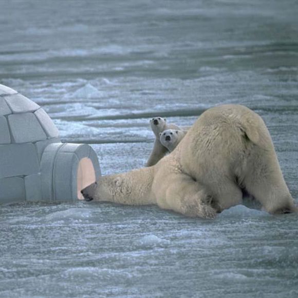 Profile Picture of Alp Celik (@zultanitetr) on Poshmark