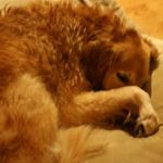Profile Picture of Phyllis Bragg (@bragg2493) on Instagram
