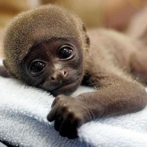 Profile Picture of Jarard Hyde (@355495770) on Myspace