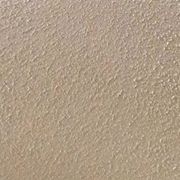 Profile Picture of Erika Ruppert (@erikaruppert35) on Pinterest