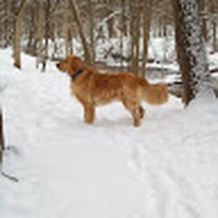 Profile Picture of Adam Pahl (@adam-pahl-5) on Quora