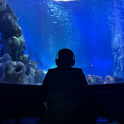 Profile Picture of MAHA ADAM (@Maha_Adam) on Youtube