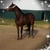 Profile Picture of Cindy Applegate (@cindy.applegate.792) on Facebook