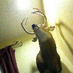 Profile Picture of Dustin Schmidt (@rusty_dusty221) on Instagram