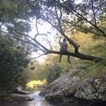 Profile Picture of Josh Holm (@jch218) on Instagram