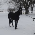 Profile Picture of Matthew Schmucker (@matthew.schmucker.79) on Facebook