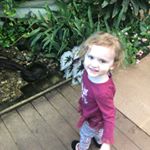 Profile Picture of Luke Hummel (@lukehummel32) on Instagram