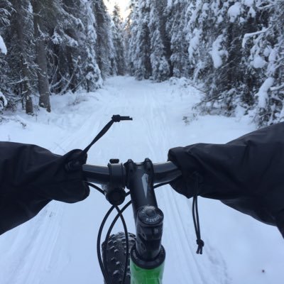 Profile Picture of Danglesfrombranches (@stephen_nickel) on Twitter