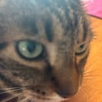 Profile Picture of James Breeding (@james.breeding.338) on Facebook