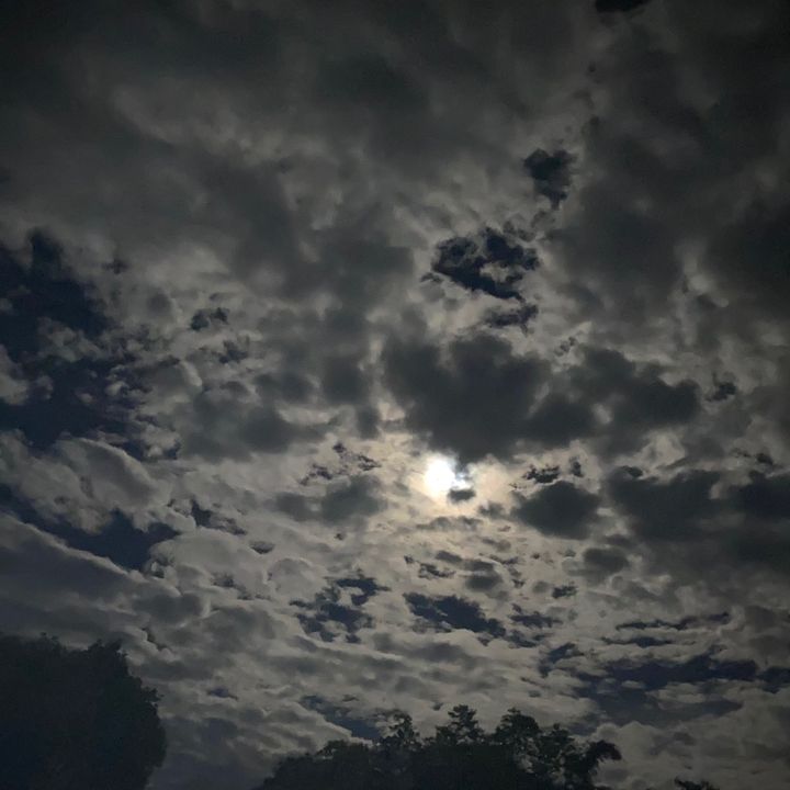 Regina - Tiktok Profile Picture of Regina (@reichelnorman5) on Tiktok