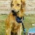 Profile Picture of Toby Ledesma (AliasKeve ) (@tobias.ledesma.129) on Facebook