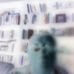 Profile Picture of Jan Bruszewski (@jan.bruszewski.58) on Facebook
