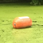 Profile Picture of Peter Seligman (@peter_seligman) on Flickr