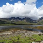 Steeman Thomas - Instagram Profile Picture of Steeman Thomas (@stoneman_thomas) on Instagram