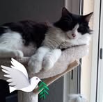 Profile Picture of Claudine Guy (@claudine.roy.9210) on Facebook