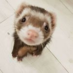 Profile Picture of Erik Trautmann (@erik69trautmann) on Instagram