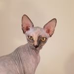 Profile Picture of Timothy Dobin (@dobintimothy) on Instagram