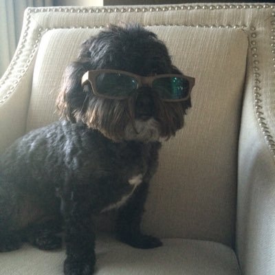 Profile Picture of Blake Spivey (@blakespivey) on Twitter