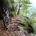 Profile Picture of Herbert Weibel (@herbert.weibel.16) on Facebook