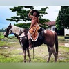 Profile Picture of Stephanne Pinheiro (@stephannepinheiro) on Tiktok