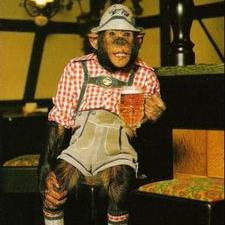 Profile Picture of Dave (@siewert_dave) on Twitter