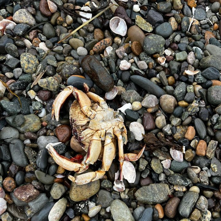 Profile Picture of Andrew Tonner (@@andrewtonner0) on Tiktok