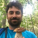 Profile Picture of Daniele Reversi (@daniele.reversi) on Instagram