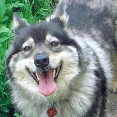 Mike Karpen - Twitter Profile Picture of Mike Karpen (@NeP8007) on Twitter