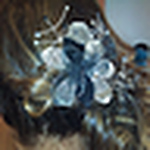 Profile Picture of Kuma-2010 (@kuma-2010) on Flickr